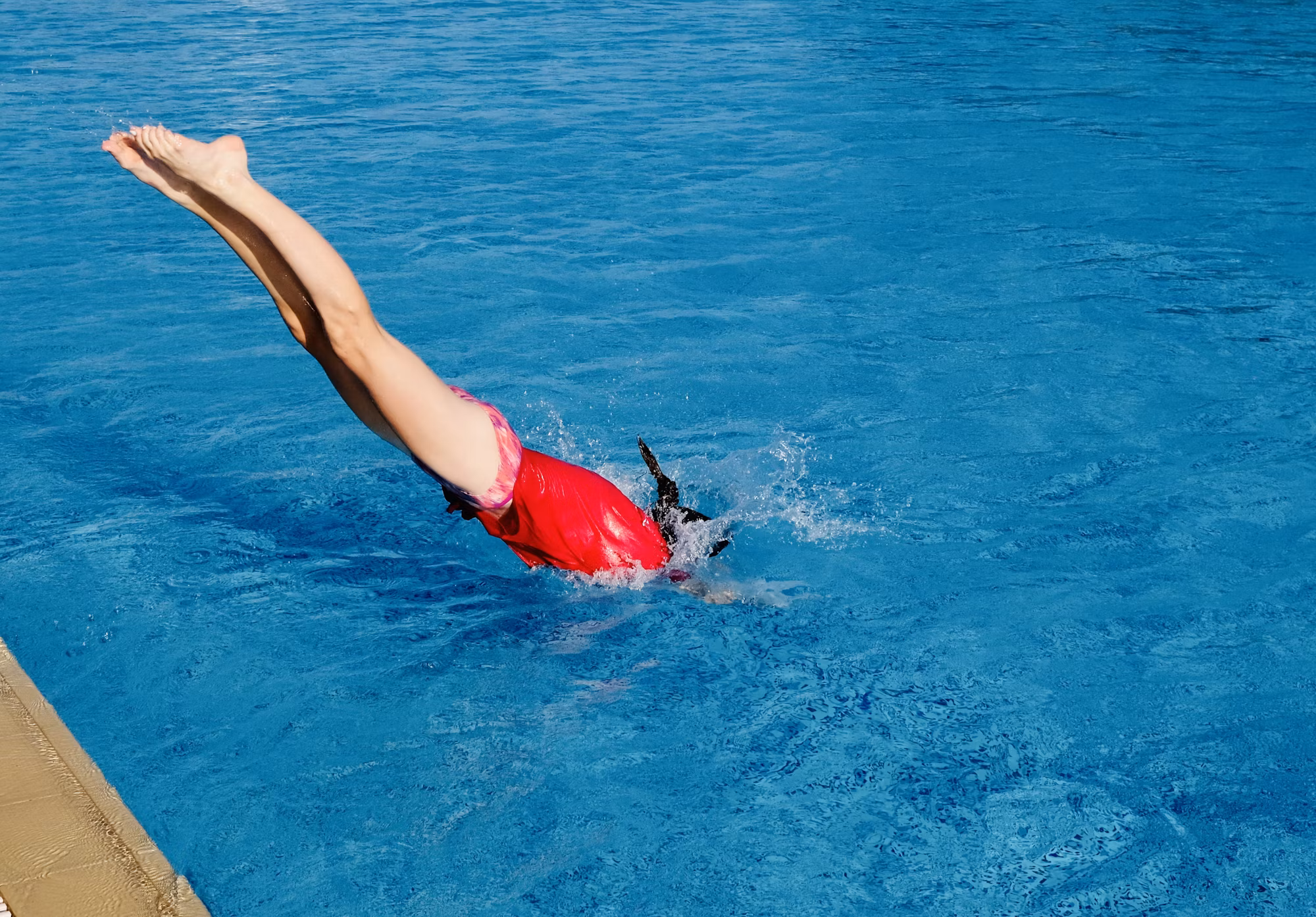 Diving Into Adventure: A Comprehensive Guide to Underwater Exploration